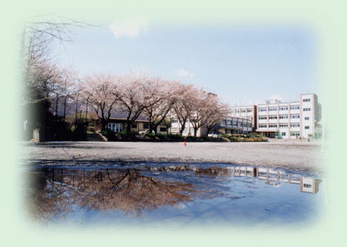 校庭より校舎をのぞむ　～桜のころ～