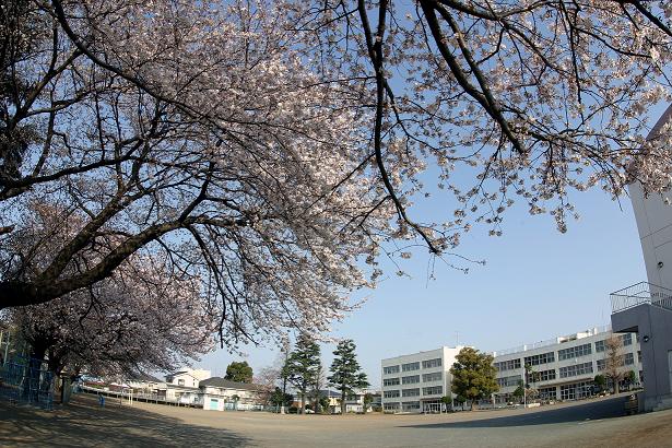 春の校庭と校舎