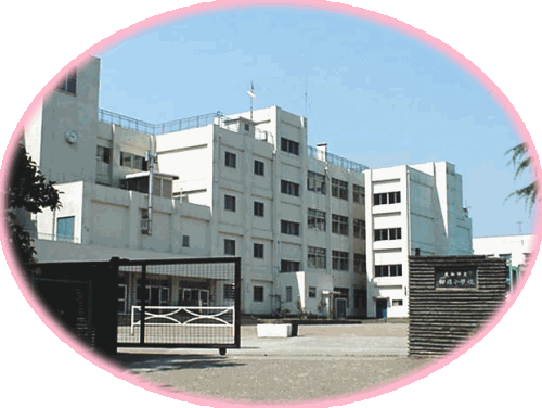 学校全景