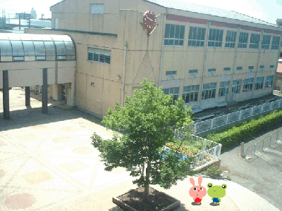 こぶし、体育館