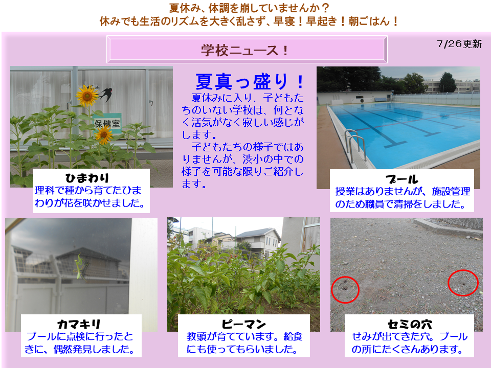 ８月学校ニュース